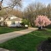 carollancast360